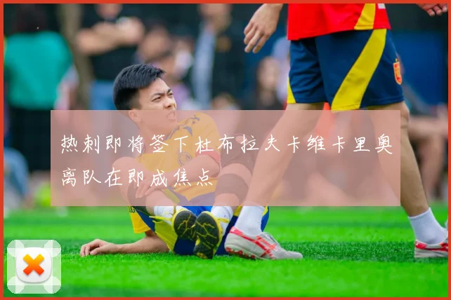 热刺即将签下杜布拉夫卡维卡里奥离队在即成焦点