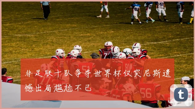 非足联十队争夺世界杯仅突尼斯遗憾出局尴尬不已
