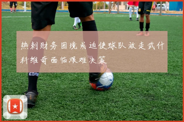 热刺财务困境或迫使球队放走武什科维奇面临艰难决策